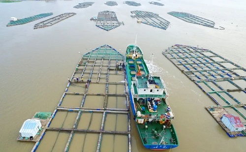 溫嶺市水產(chǎn)技術(shù)推廣站榮獲首批全國星級基層推廣機(jī)構(gòu)稱號